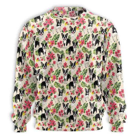 Boston Terrier Sweatshirt – Colorful Graphic 3D All Over Print Design