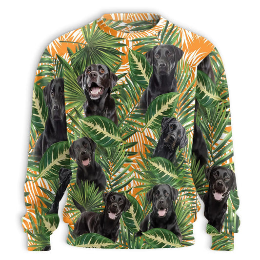 Black Labrador Retriever Dog Sweatshirt – Colorful Graphic 3D All Over Print Design