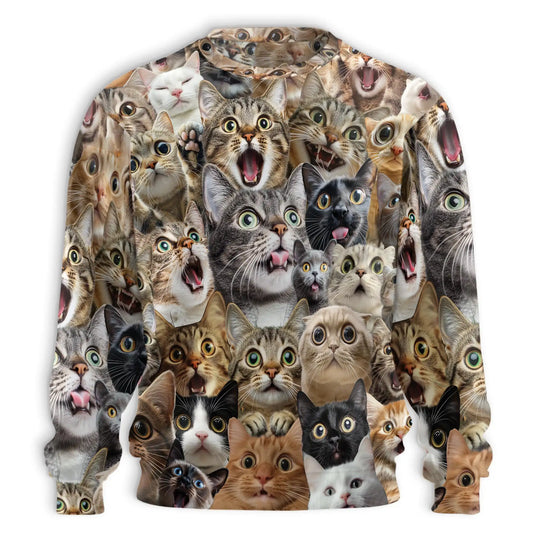 Funny Cat Pattern Sweatshirt – Colorful Graphic 3D All Over Print Design