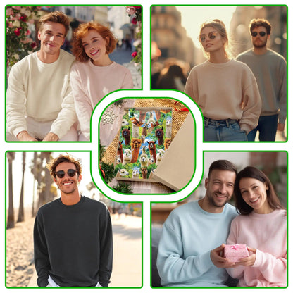 Alpaca Sweatshirt – Colorful Graphic 3D All Over Print Design