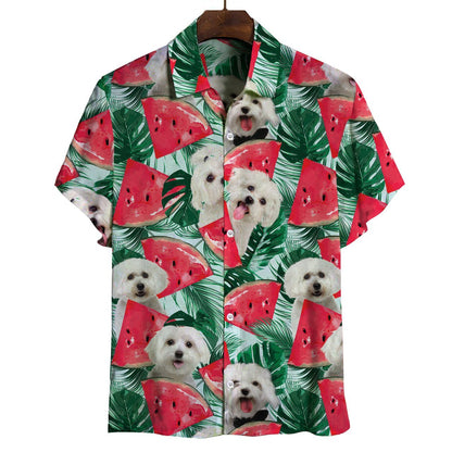 Maltese - Hawaiian Shirt