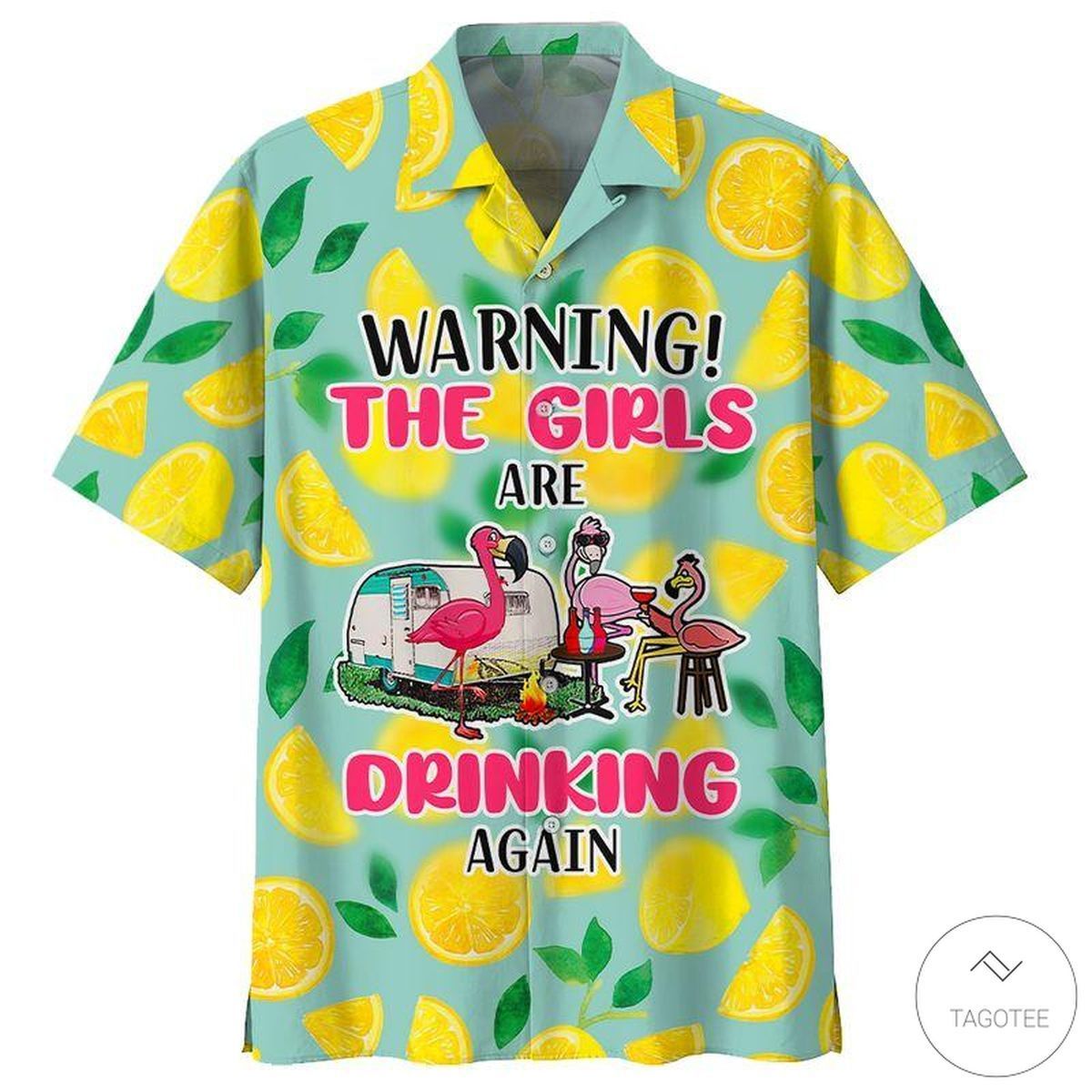 Warning The Girls Are Drinking Again Flamingo Hawaiian Shirt | For Men & Women | Adult | HW6975