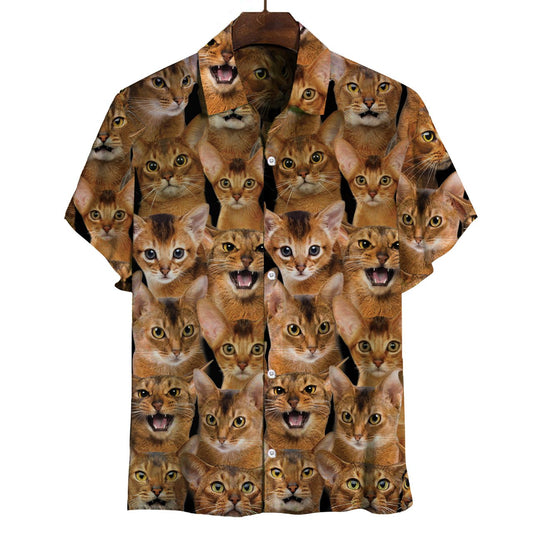 You Will Have A Bunch Of Abyssinian Cats - Shirt Hawaiian