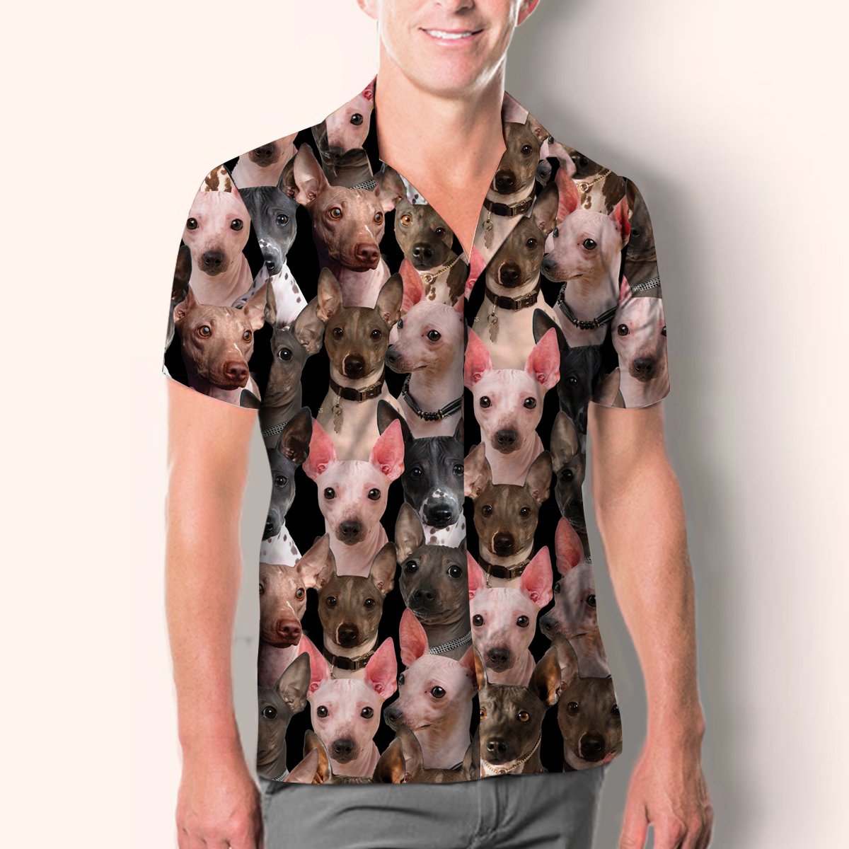 You Will Have A Bunch Of American Hairless Terriers - Shirt Hawaiian