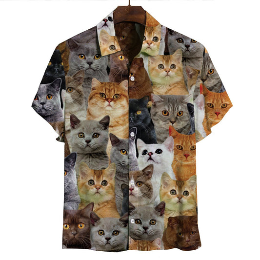 You Will Have A Bunch Of British Shorthair Cats - Shirt Hawaiian