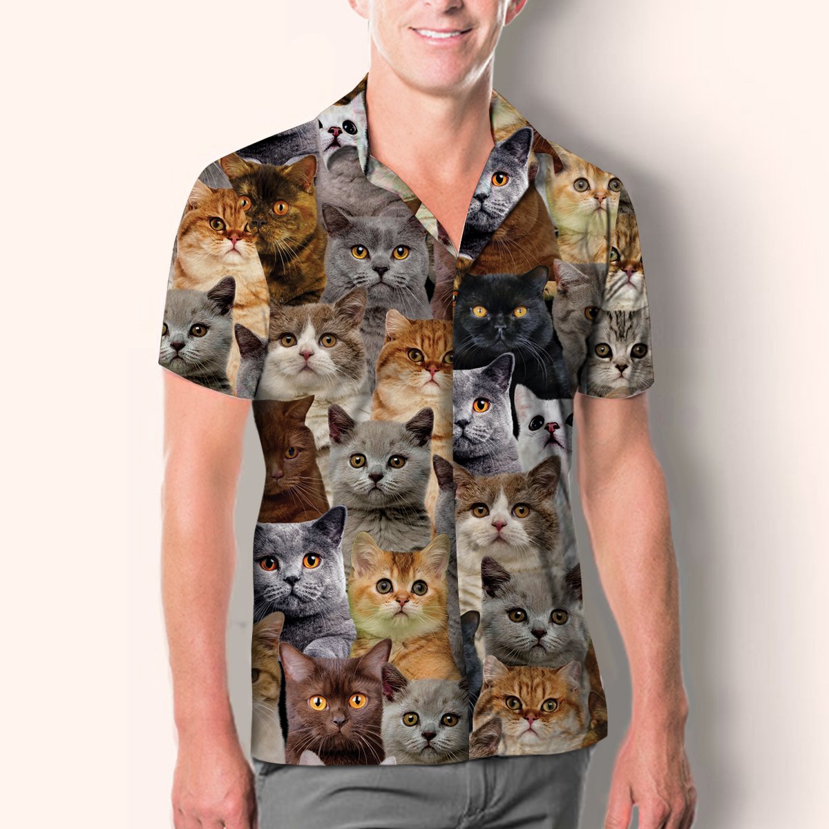 You Will Have A Bunch Of British Shorthair Cats - Shirt Hawaiian