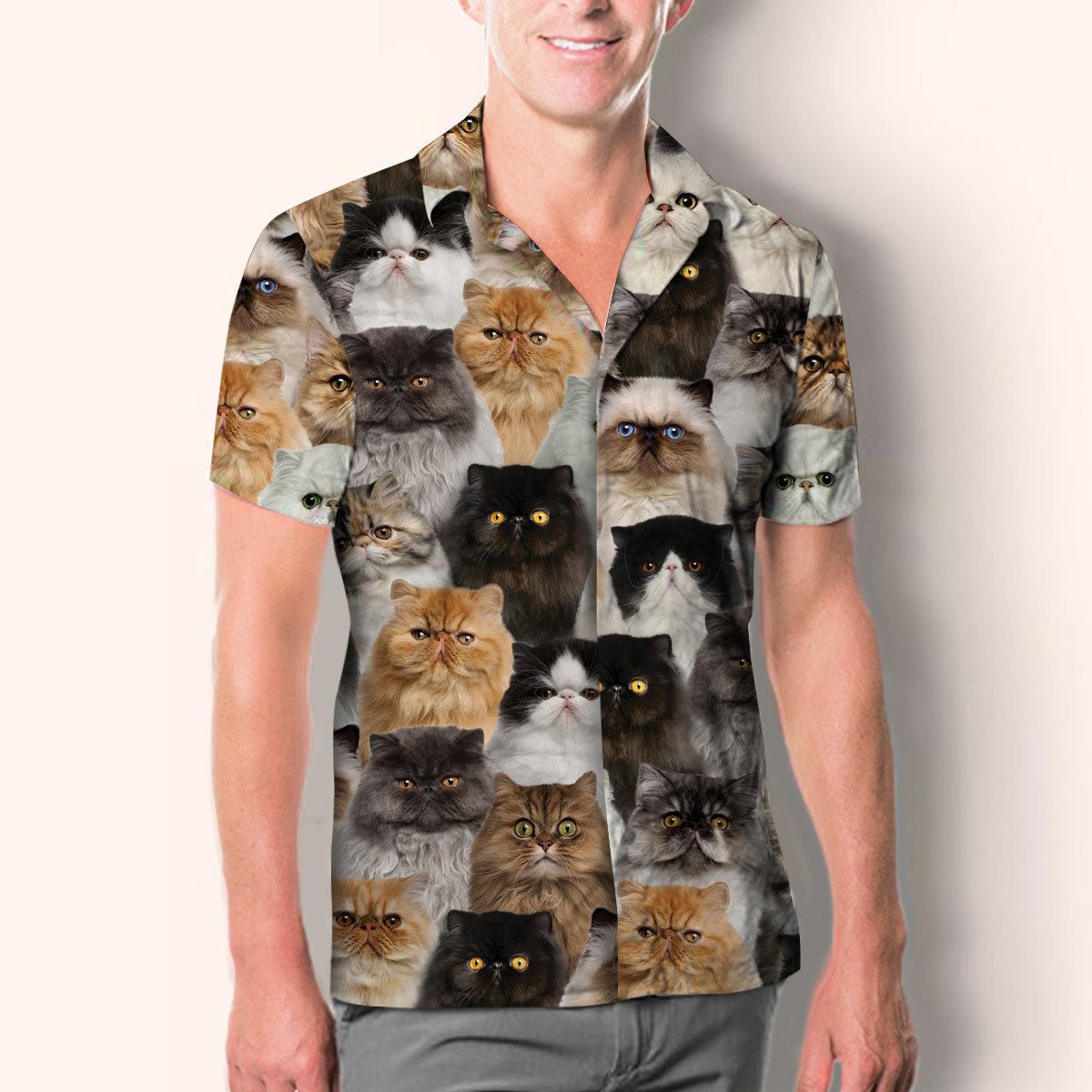 You Will Have A Bunch Of Persian Cats - Shirt Hawaiian