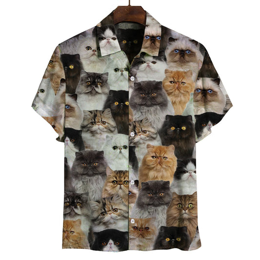 You Will Have A Bunch Of Persian Cats - Shirt Hawaiian