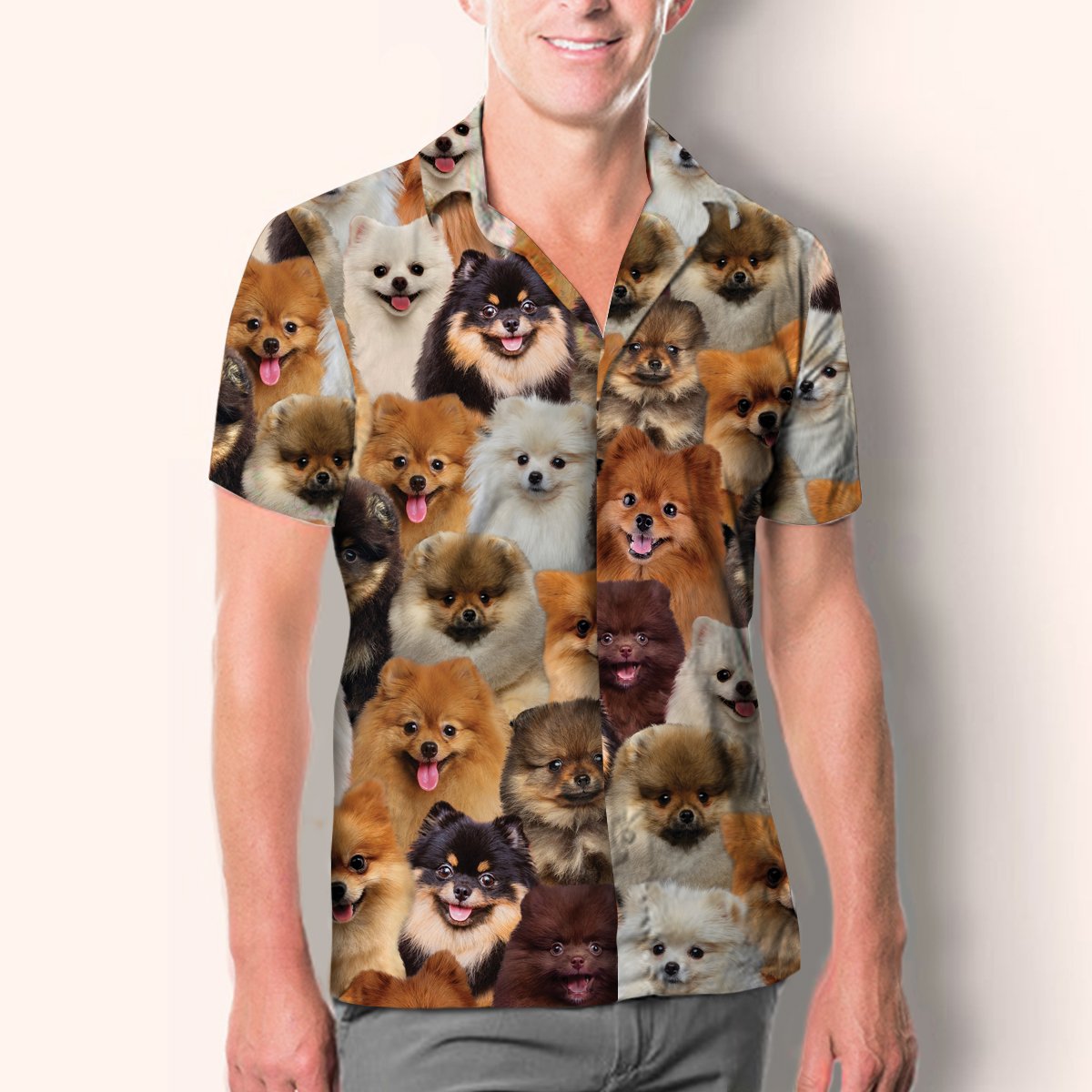 You Will Have A Bunch Of Pomeranians - Shirt Hawaiian