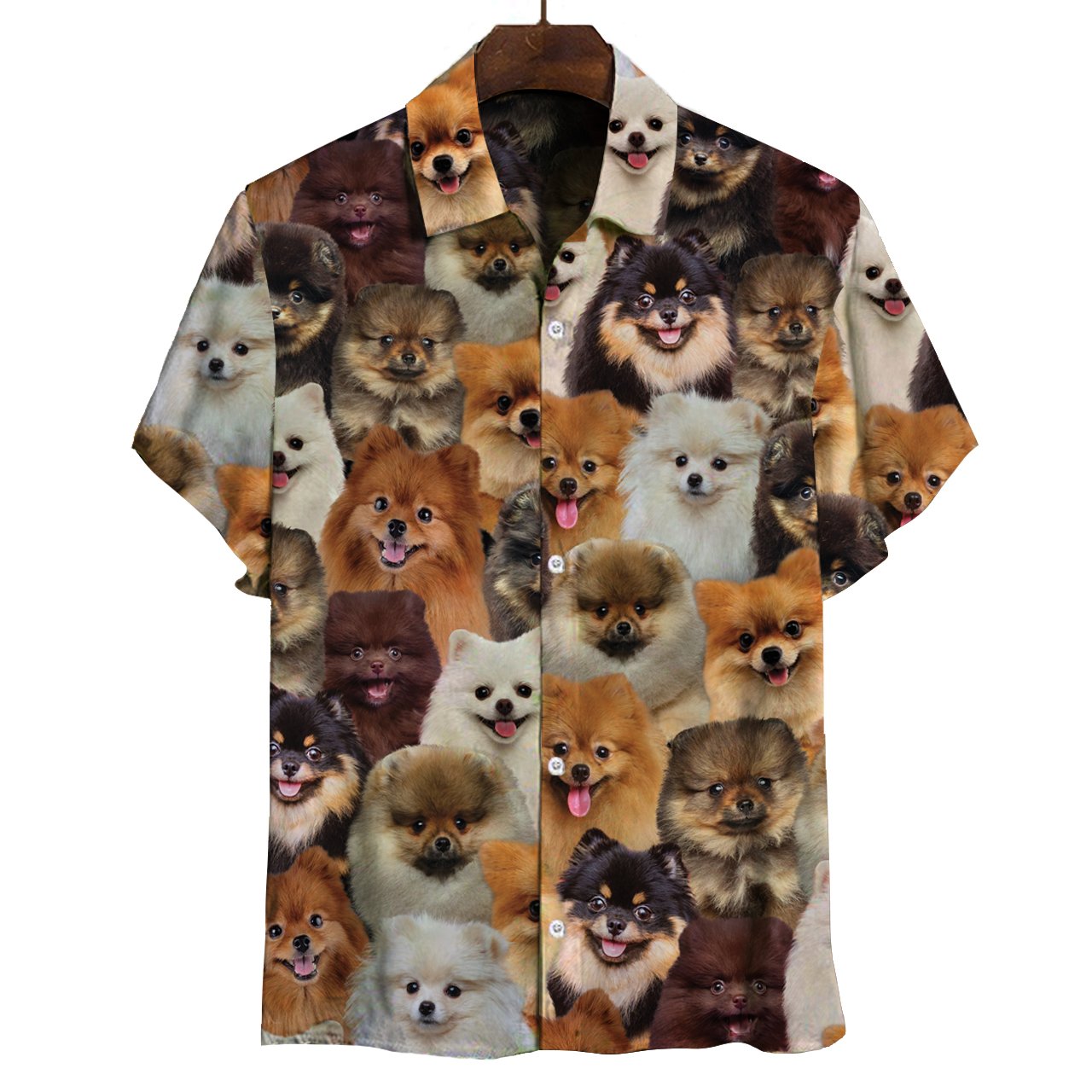 You Will Have A Bunch Of Pomeranians - Shirt Hawaiian