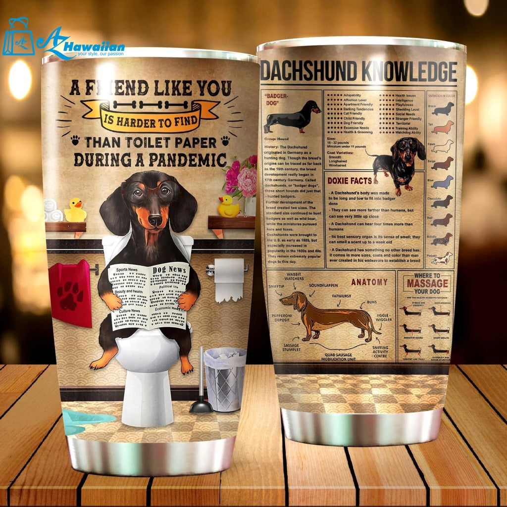 A Friend Like You Tumbler For Dachshund Lovers