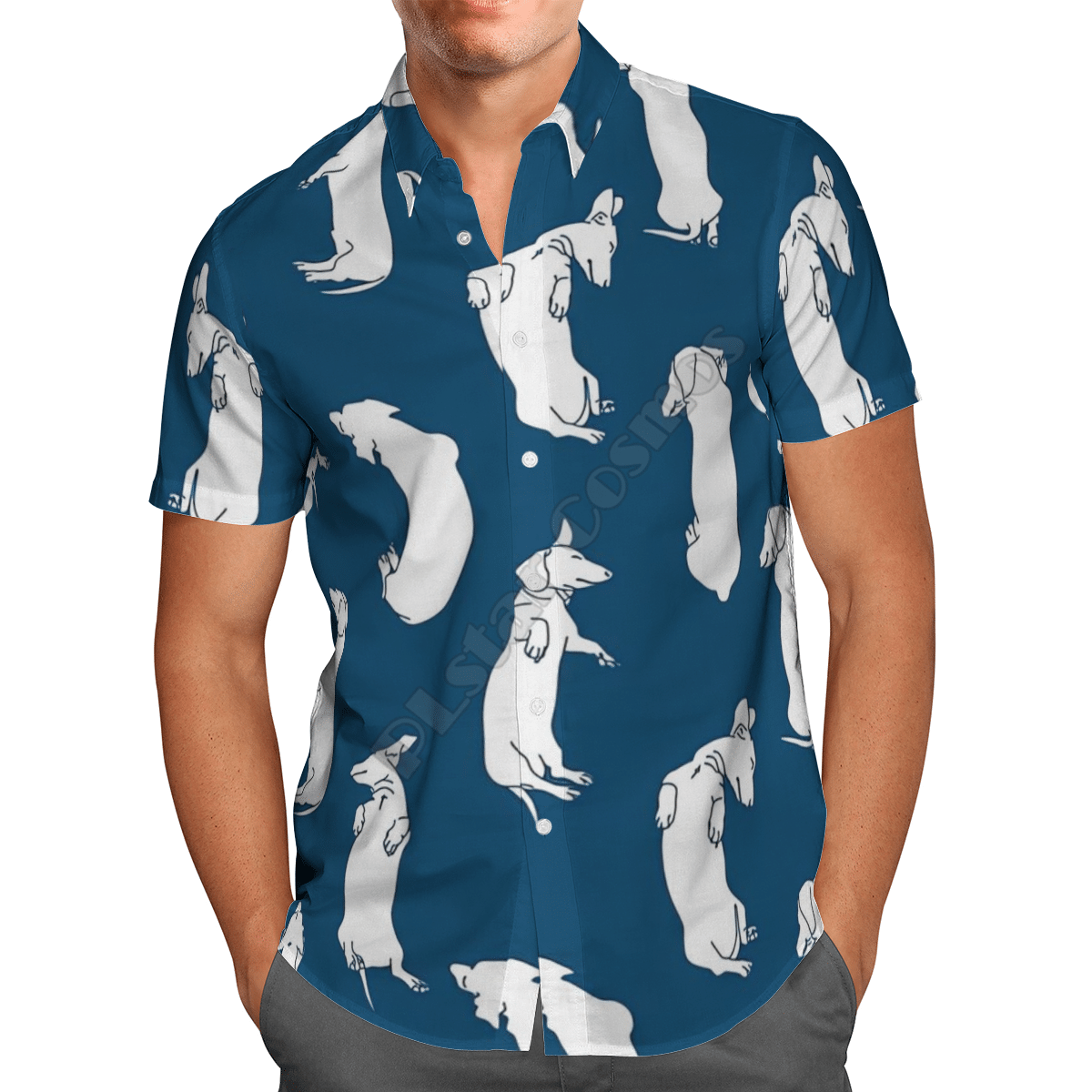 Funny Dachshund   Blue Amazing Design Unisex Hawaiian Shirt For Men And Women Dhc17064097