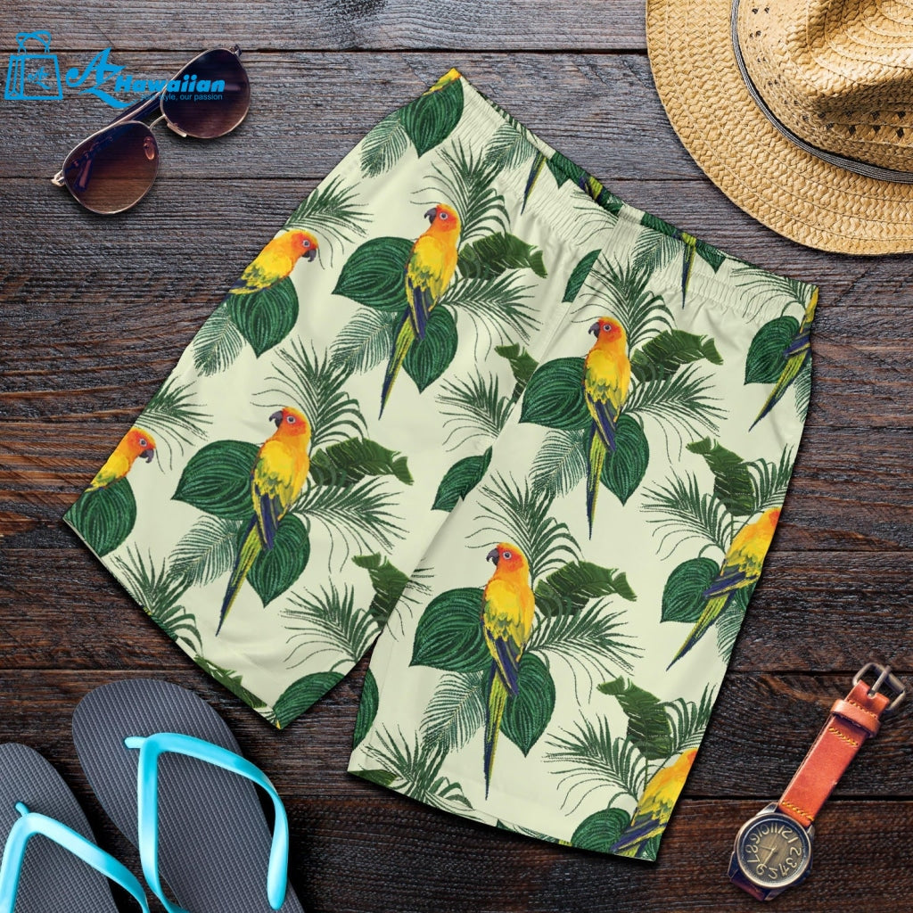 Beautiful Parrot Palm Leaves Pattern Men Shorts