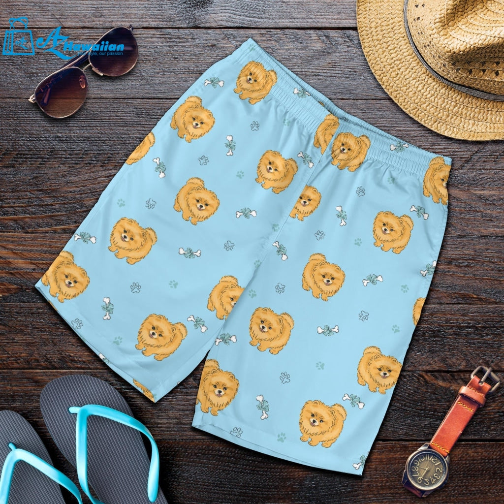 Brown Cute Pomeranian Blue Blackground Men Shorts