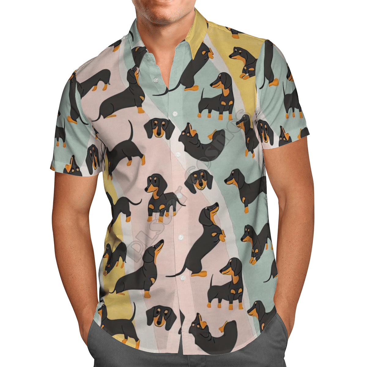 Funny Dachshund  Colorful Awesome Design Unisex Hawaiian Shirt For Men And Women Dhc17064100