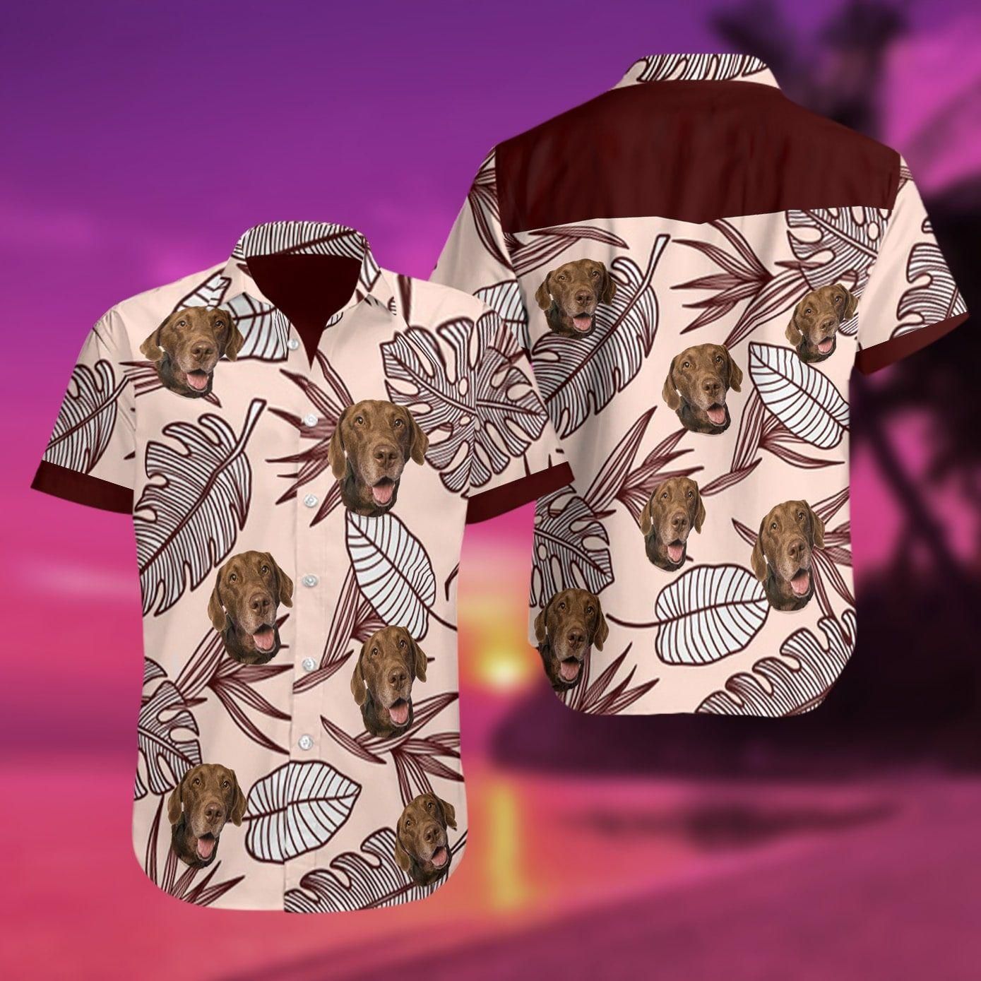 Retrievers Chesapeake Bay Brown Unique Design Hawaiian Shirt For Men Women