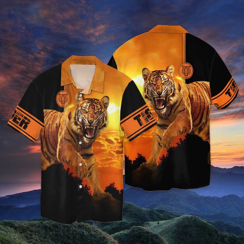 Tigger Sunset For Men And Women Graphic Print Short Sleeve 