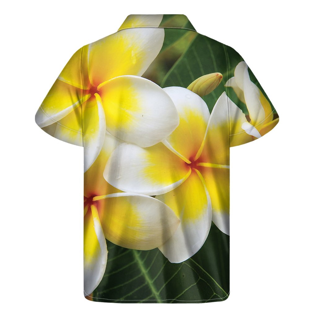 White And Yellow Plumeria Flower Print Mens Short Sleeve Shirt Hawaiian